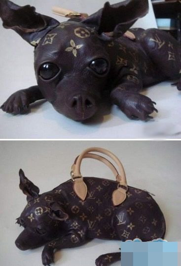 没人敢偷我的包包器物gif搞笑图片