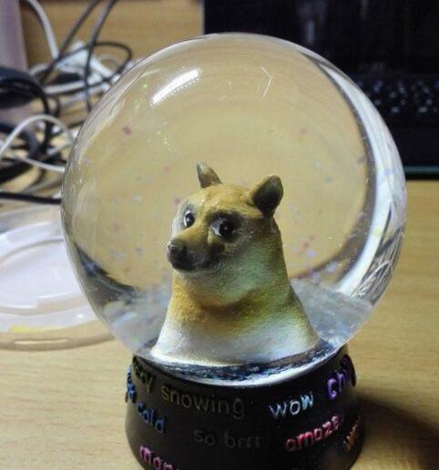 生日，室友送的礼物器物gif搞笑图片