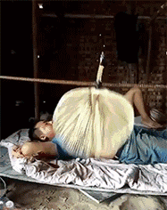 这电风扇牛啊器物gif搞笑图片