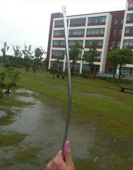 什么叫风中凌乱？就是下雨又起风，麻痹的伞给吹跑了，手里还握着一个伞把器物gif搞笑图片