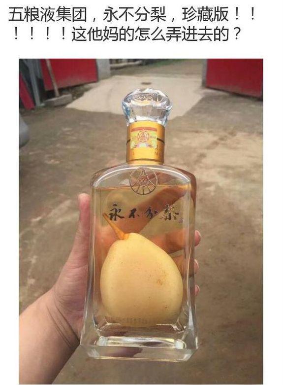 玻璃瓶挂树上，梨从小长大的？器物gif搞笑图片