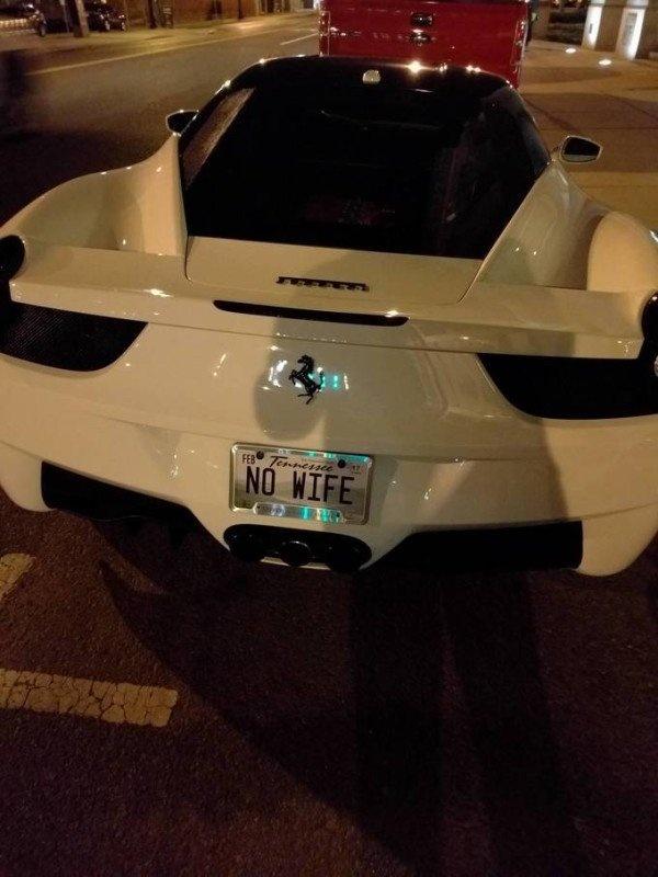 高级单身的表达方式器物gif搞笑图片