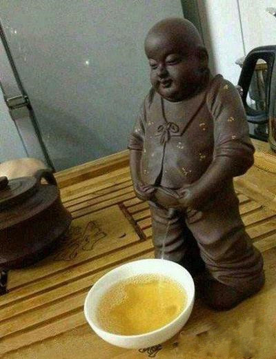 新买的茶具，朋友说再也不想来我们家喝茶了器物gif搞笑图片