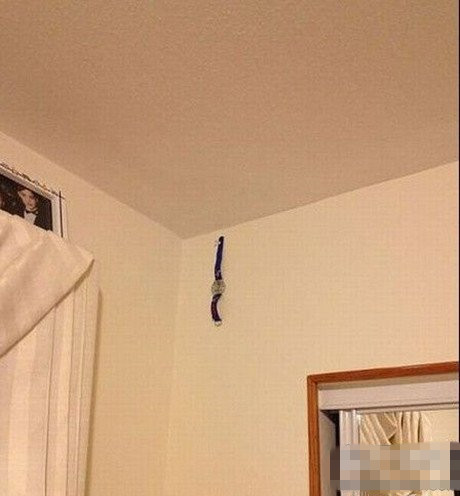 二货家的挂表是这样的…器物gif搞笑图片