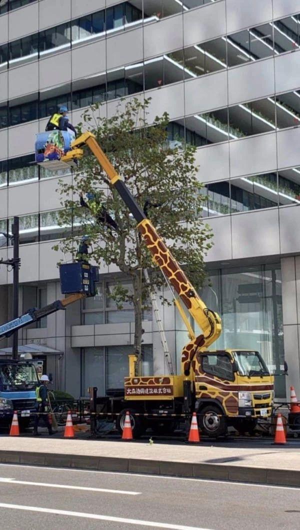 一下子可爱了许多器物gif搞笑图片