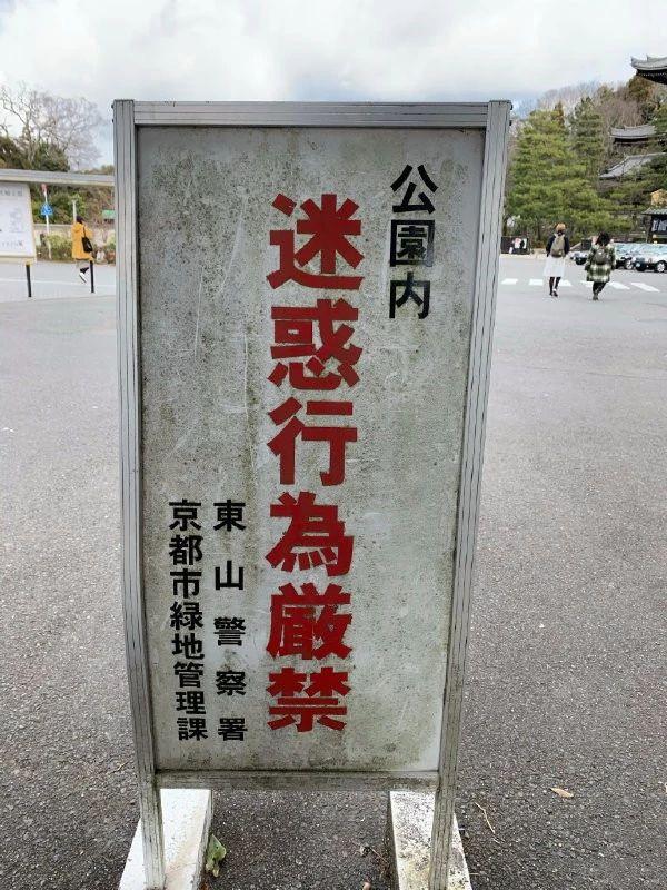 这个牌子本身属不属于迷惑行为呢器物gif搞笑图片