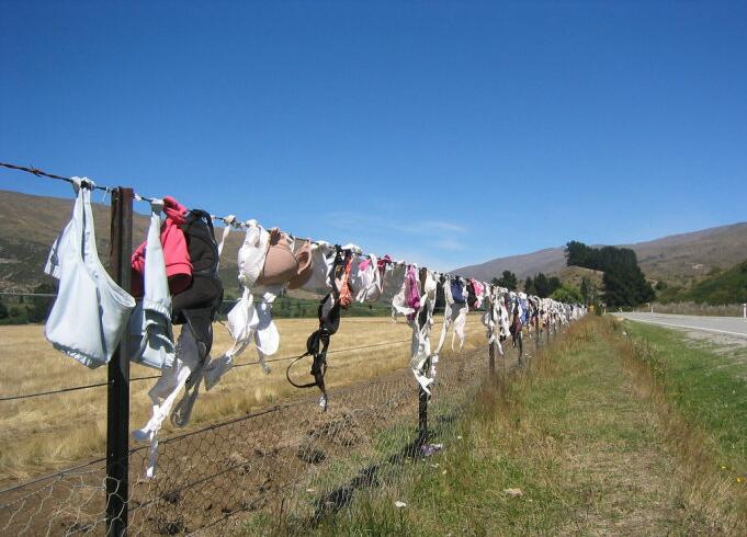 新西兰挂满女性内衣的铁丝栅栏器物gif搞笑图片