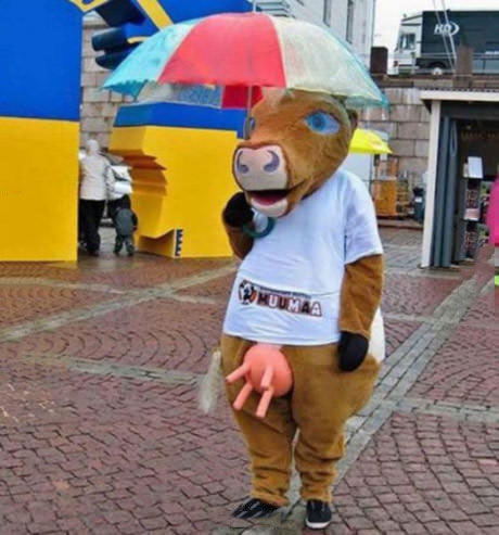 看到这货突然无法正视牛奶器物gif搞笑图片