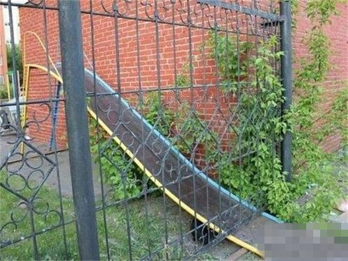 这是闹哪样啊!器物gif搞笑图片