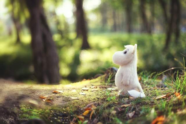 太可爱了！ 俄罗斯摄影师镜头下充满生命力的羊毛毡娃娃美照器物gif搞笑图片