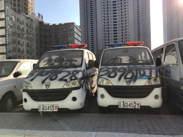 老虎屁股摸不得啊器物gif搞笑图片