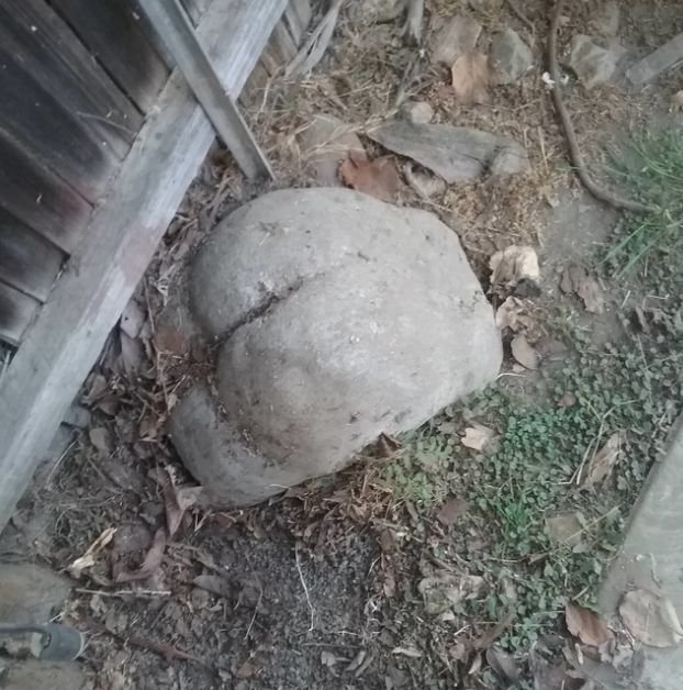 谁家屁股到处乱扔啊器物gif搞笑图片