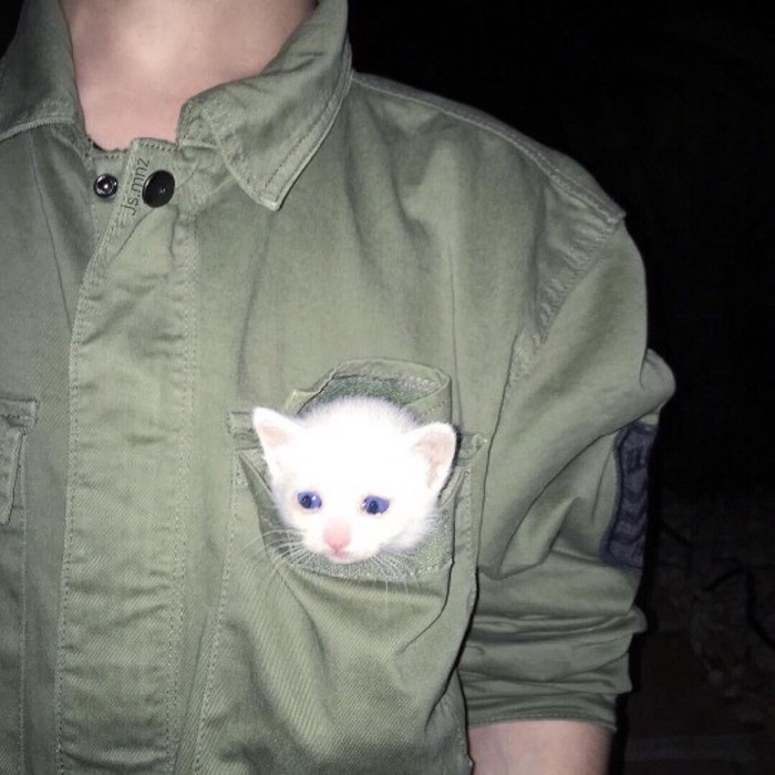 上衣口袋的用处器物gif搞笑图片