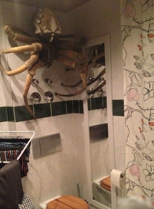 一进厕所顿时吓晕在地上器物gif搞笑图片