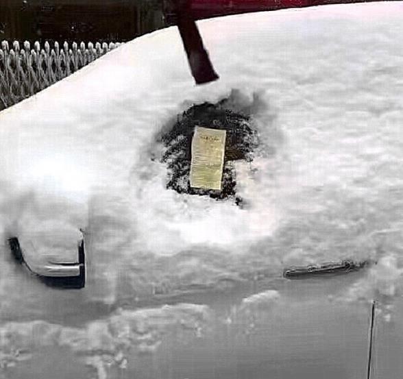 这么大的雪中，还是警察最敬业器物gif搞笑图片