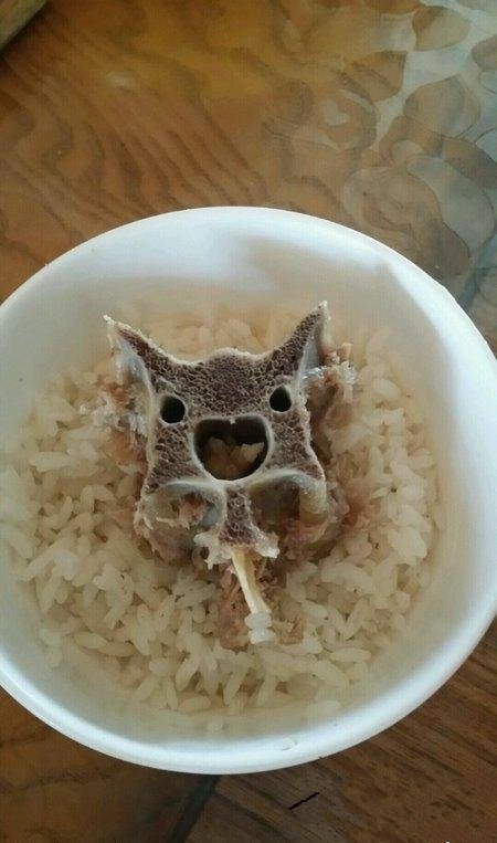 敢问这块儿骨头，你是来卖萌的么？(￣￣)器物gif搞笑图片