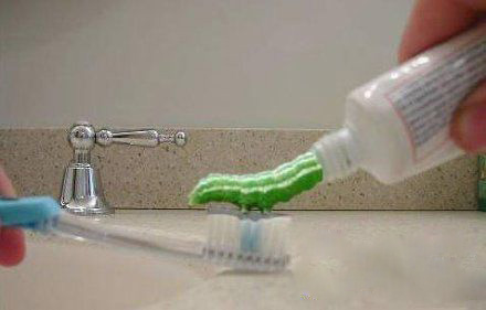 毛毛虫牙膏，真心不敢刷器物gif搞笑图片