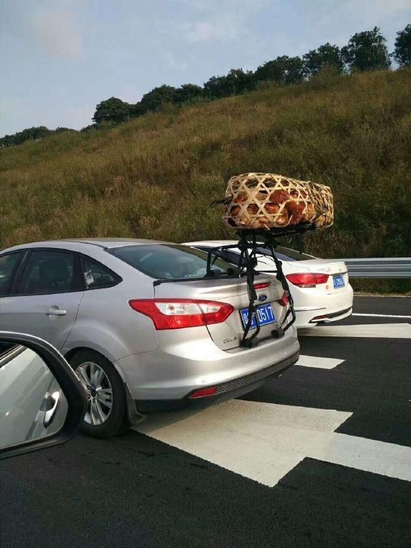 知道爸妈会给自己带散养鸡而特意买的架子器物gif搞笑图片