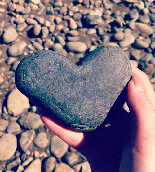 拿着它去表白去。。。祝我成功吧！器物gif搞笑图片