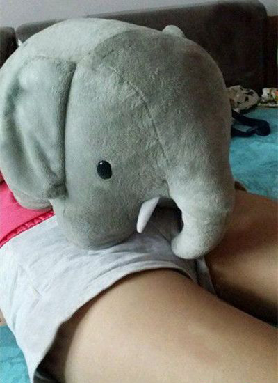 菇凉，这大象这样放真的好么？器物gif搞笑图片