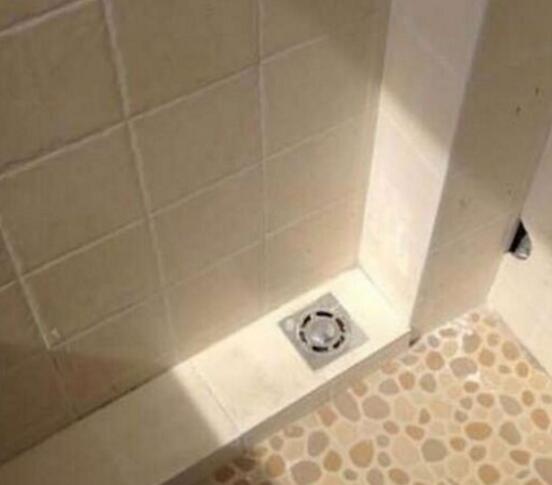 设计师你是想让我养鱼吗？器物gif搞笑图片