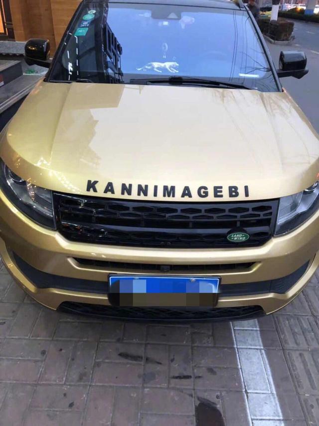 哈哈哈哈真朋克器物gif搞笑图片