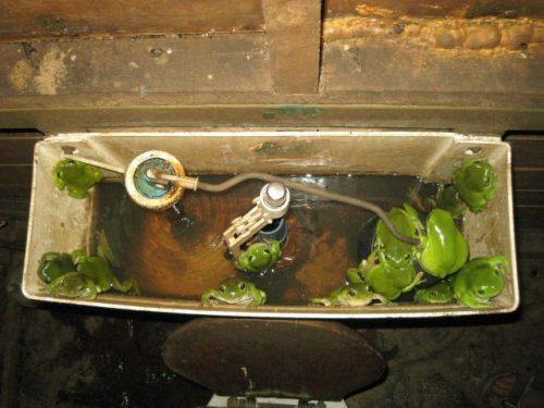 绿色环保的抽水马桶水箱器物gif搞笑图片