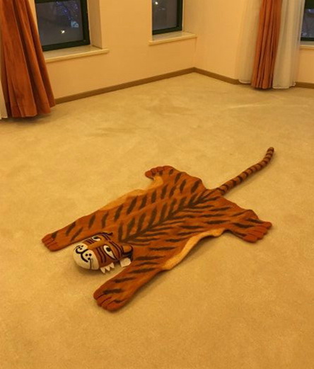 据说办公室地上铺着虎皮显得主人很霸道，很显然我做到了器物gif搞笑图片