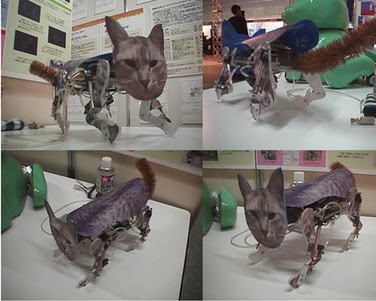 真实版机器猫器物gif搞笑图片