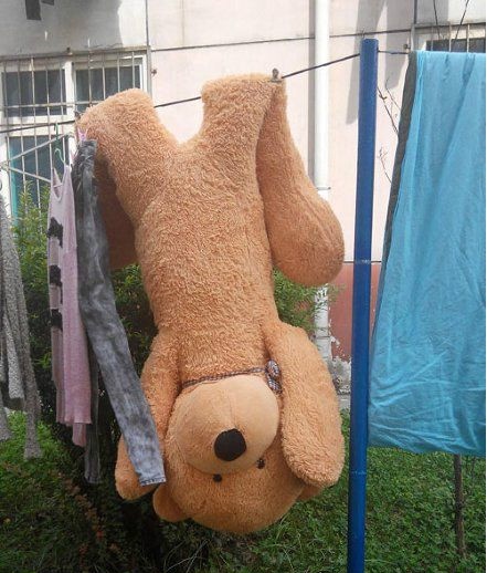 我做错了什么你要这样折磨我器物gif搞笑图片