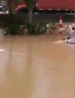 这电动车的质量没的说了器物gif搞笑图片