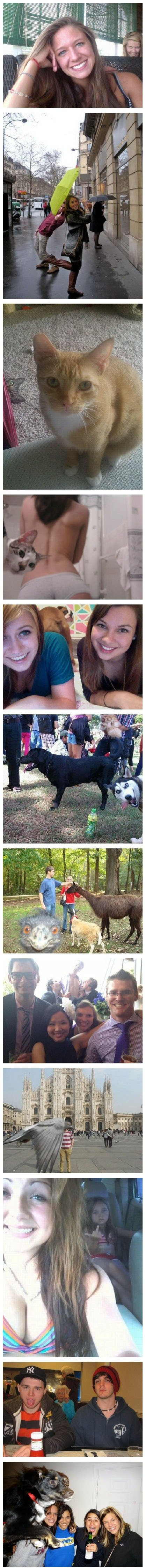 那些神抢镜头器物gif搞笑图片