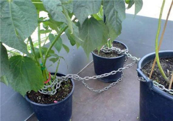 防盗装置器物gif搞笑图片