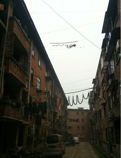 再也不怕偷腊肉的小偷了器物gif搞笑图片