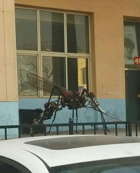 变形金刚最新物种器物gif搞笑图片