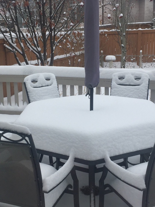 下了场雪，椅子都成精了器物gif搞笑图片