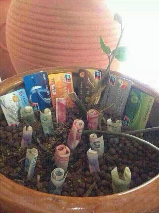 种了一年怎么还不开花结果呢？器物gif搞笑图片