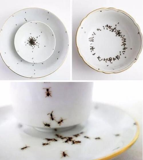 这餐具让人抓狂器物gif搞笑图片