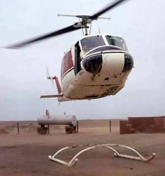 世界上有一种鸟是没有脚的器物gif搞笑图片