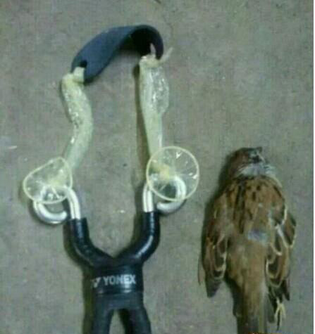 套套的回收再利用器物gif搞笑图片