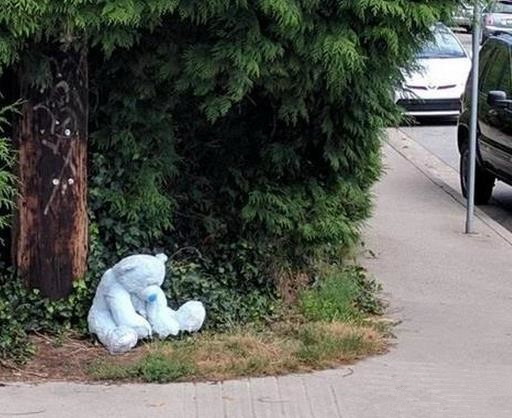 情人节次日早上是遛弯的好时机，能捡到宝贝器物gif搞笑图片