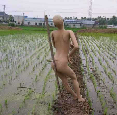 稻草人什么的弱爆了器物gif搞笑图片