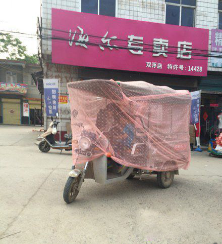 看到这拉风的车棚，给跪了器物gif搞笑图片