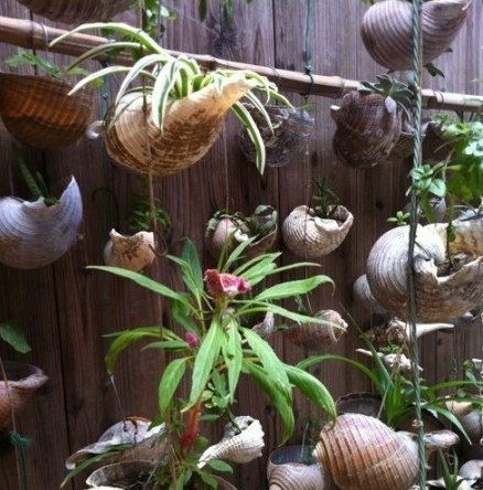 石浦老街里海螺做的花盆器物gif搞笑图片