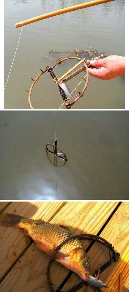 最暴力的钓鱼技能器物gif搞笑图片