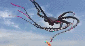 这风筝也太酷炫叼了吧器物gif搞笑图片