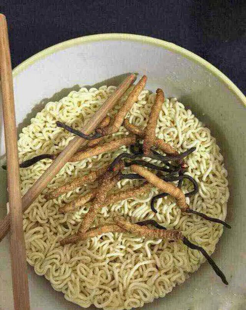 妈妈再也不用担心我吃泡面没有营养了器物gif搞笑图片