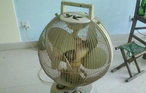 奇葩风扇器物gif搞笑图片