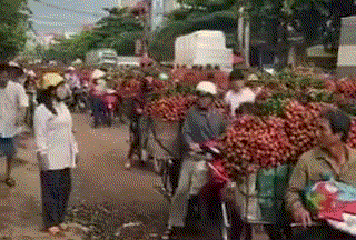 水果大军人物gif搞笑图片