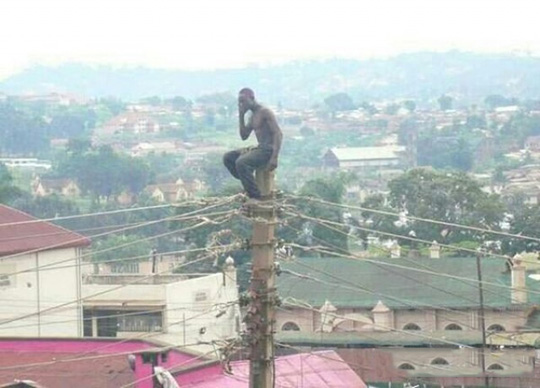 站得高，信号果然好人物gif搞笑图片